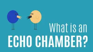 What is an echo chamber