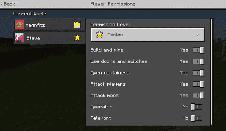 minecraft-player-permissions