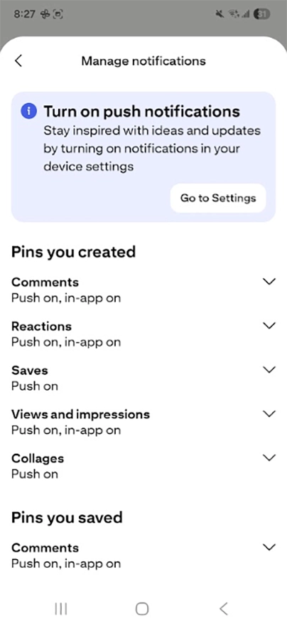 Pinterest notifications