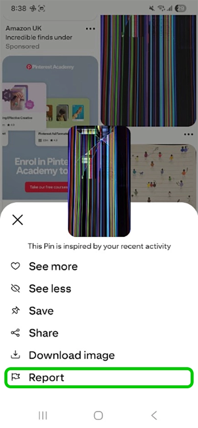 Pinterest report PIN