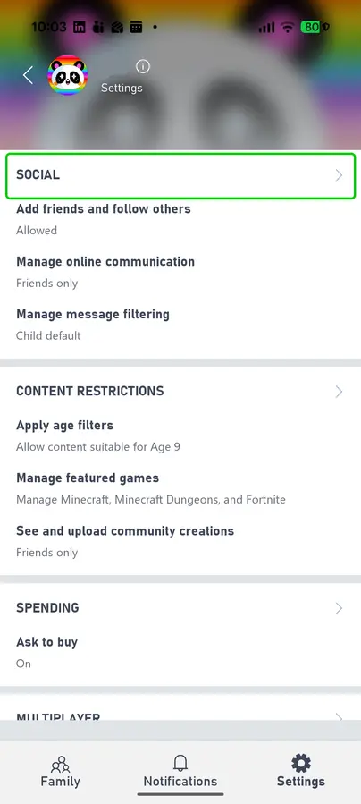 Minecraft PC Child settings
