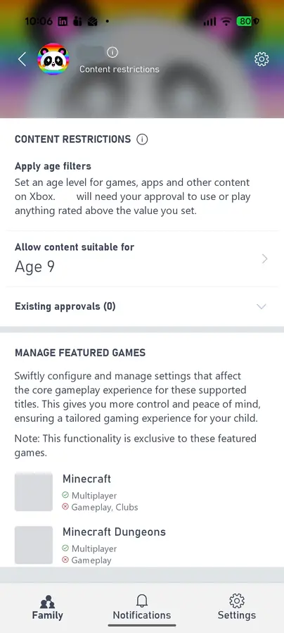 Minecraft PC content restrictions