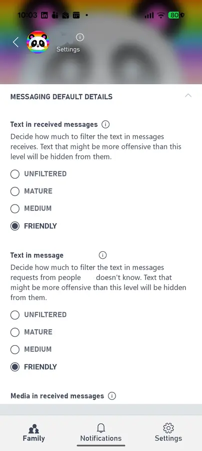 Minecraft PC message filtering