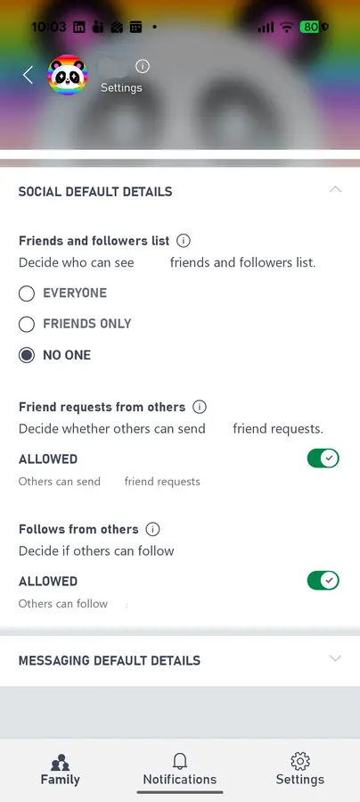 Minecraft PC social defaults