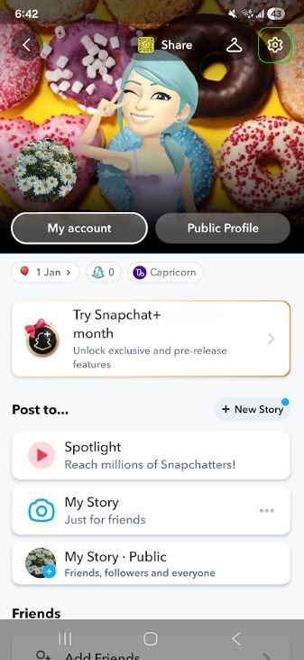 Snapchat profile page with settings highlighted