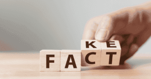 Fact and Fake building blocks