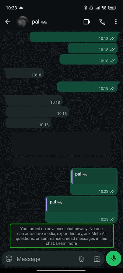 WhatsApp advanced chat privacy 4