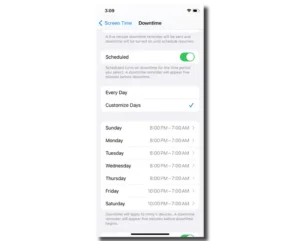 Screenshot of customised Downtime schedule.