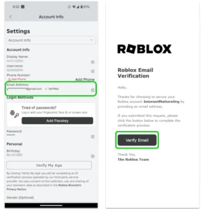 Screenshot of Account Info screen with Email Address highlighted.