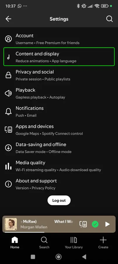 Spotify settings
