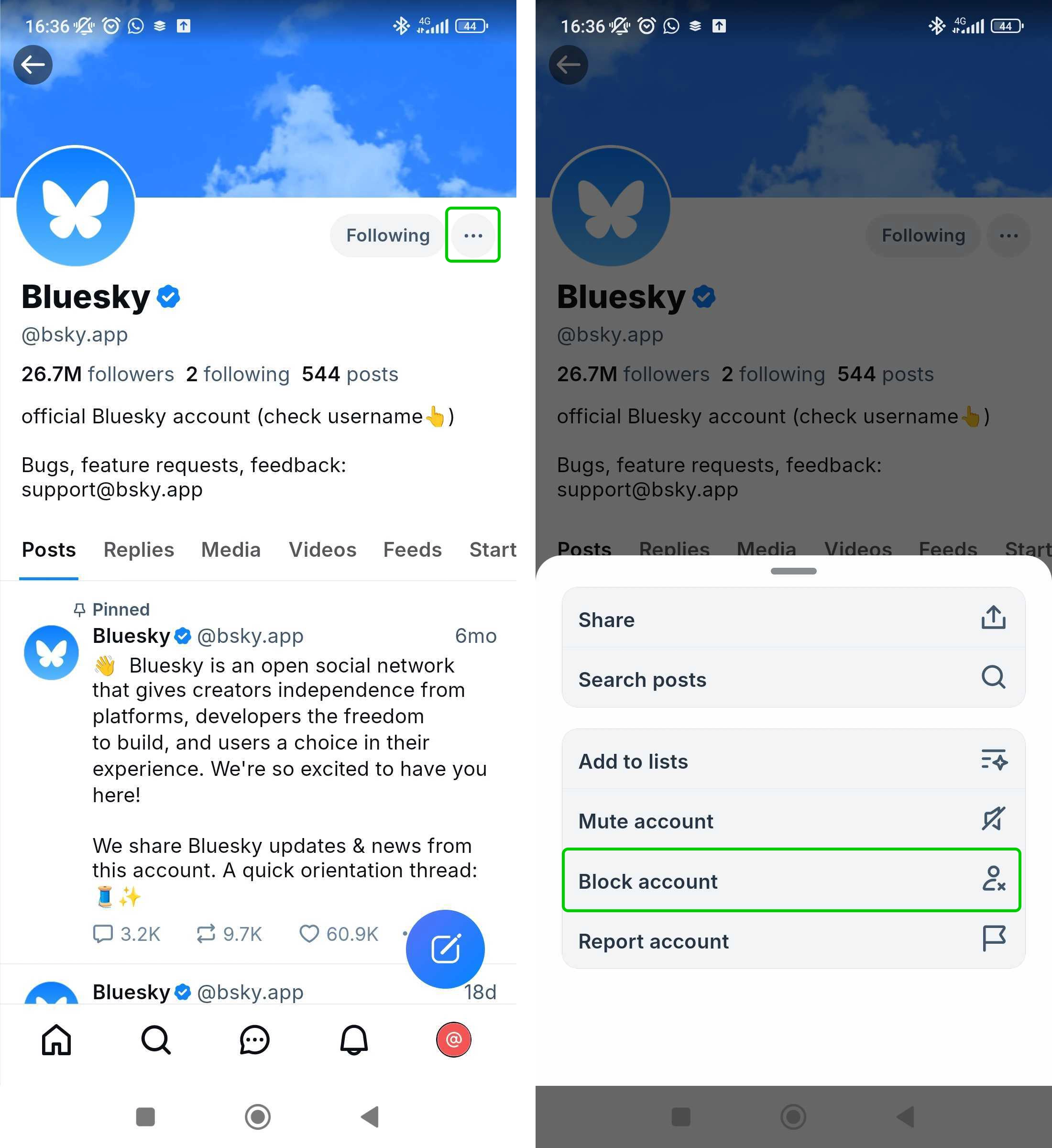 Bluesky blocking