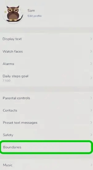 Garmin settings